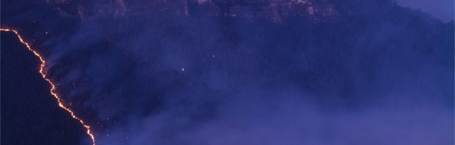 Stories| Bushfire