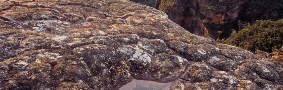 Ian Brown| Grose Wilderness