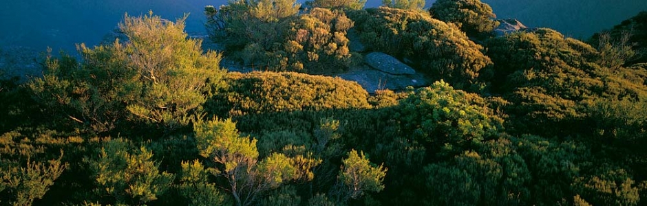 Ian Brown| Kanangra-Boyd Wilderness