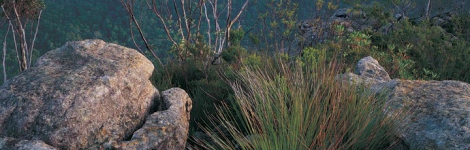 Ian Brown| Wolgan Valley